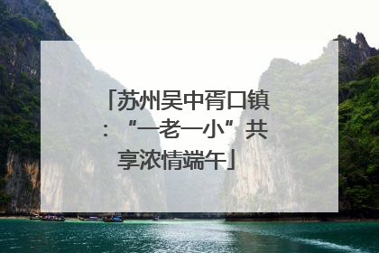 苏州吴中胥口镇：“一老一小”共享浓情端午