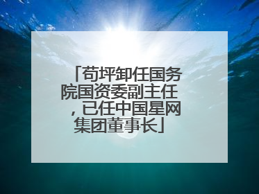 苟坪卸任国务院国资委副主任，已任中国星网集团董事长
