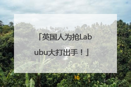 英国人为抢Labubu大打出手！