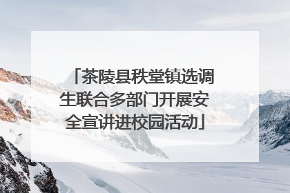 茶陵县秩堂镇选调生联合多部门开展安全宣讲进校园活动