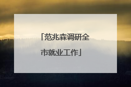 范兆森调研全市就业工作