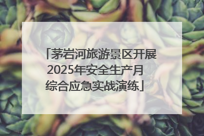 茅岩河旅游景区开展2025年安全生产月综合应急实战演练