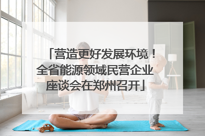 营造更好发展环境！全省能源领域民营企业座谈会在郑州召开
