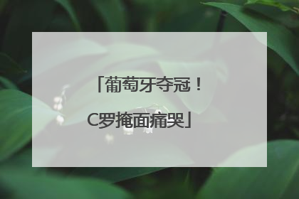 葡萄牙夺冠！C罗掩面痛哭