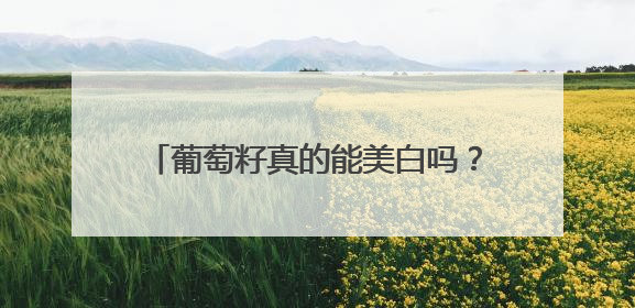 葡萄籽真的能美白吗？先搞清楚这 3 个关键问题再决定要不要吃！