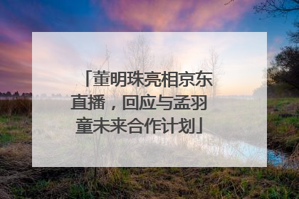 董明珠亮相京东直播，回应与孟羽童未来合作计划
