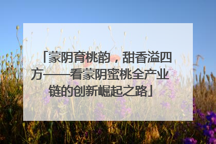 蒙阴育桃韵，甜香溢四方——看蒙阴蜜桃全产业链的创新崛起之路