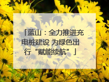 蓝山：全力推进充电桩建设 为绿色出行“赋能续航”