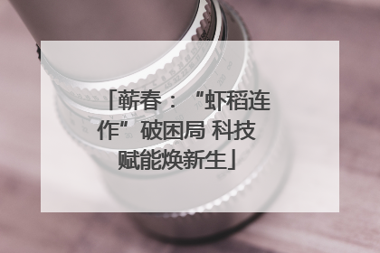 蕲春：“虾稻连作”破困局 科技赋能焕新生