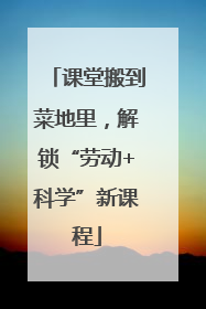课堂搬到菜地里，解锁“劳动+科学”新课程
