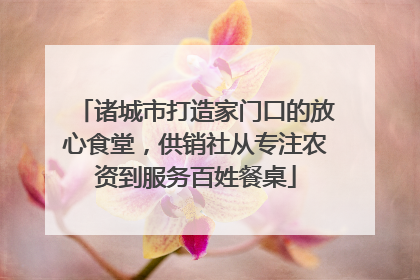 诸城市打造家门口的放心食堂，供销社从专注农资到服务百姓餐桌