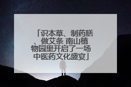 识本草、制药膳、做艾条 南山植物园里开启了一场中医药文化盛宴