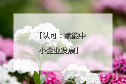 认可：赋能中小企业发展