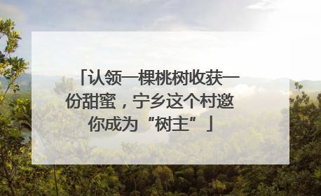 认领一棵桃树收获一份甜蜜，宁乡这个村邀你成为“树主”