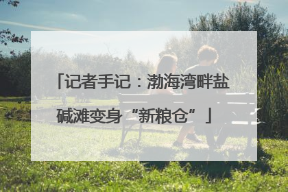 记者手记：渤海湾畔盐碱滩变身“新粮仓”