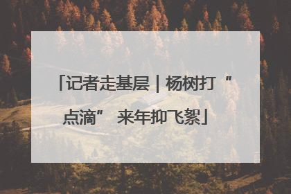 记者走基层｜杨树打“点滴” 来年抑飞絮