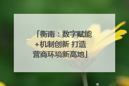 衡南：数字赋能+机制创新 打造营商环境新高地