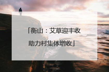 衡山：艾草迎丰收 助力村集体增收