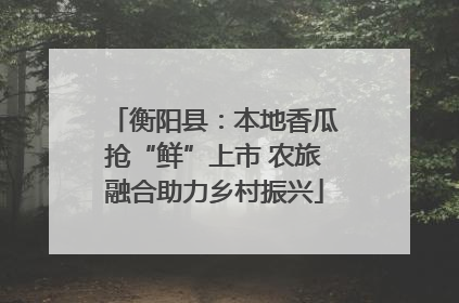 衡阳县：本地香瓜抢“鲜”上市 农旅融合助力乡村振兴