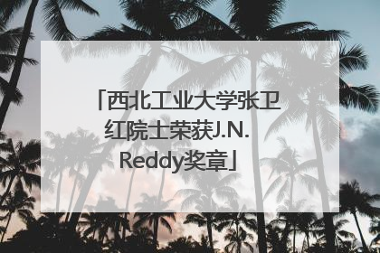 西北工业大学张卫红院士荣获J.N.Reddy奖章
