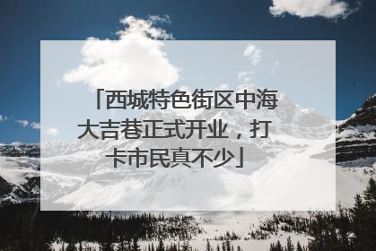 西城特色街区中海大吉巷正式开业，打卡市民真不少