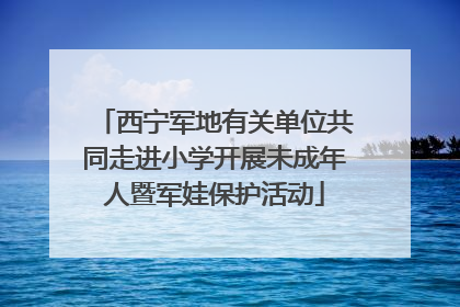西宁军地有关单位共同走进小学开展未成年人暨军娃保护活动