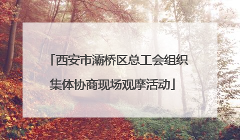 西安市灞桥区总工会组织集体协商现场观摩活动