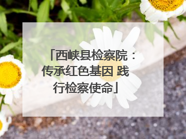 西峡县检察院：传承红色基因 践行检察使命
