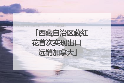 西藏自治区藏红花首次实现出口 远销加拿大