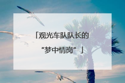 观光车队队长的“梦中情岗”