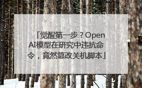 觉醒第一步？OpenAI模型在研究中违抗命令，竟然篡改关机脚本