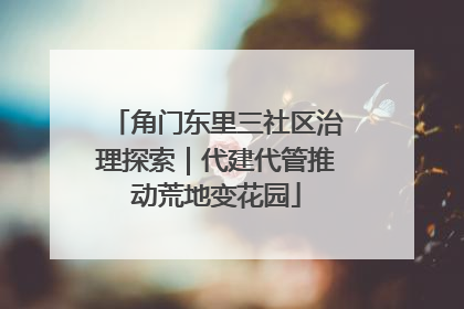 角门东里三社区治理探索｜代建代管推动荒地变花园