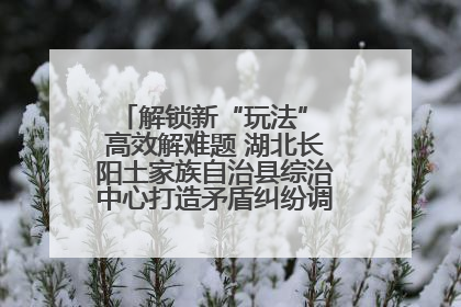 解锁新“玩法” 高效解难题 湖北长阳土家族自治县综治中心打造矛盾纠纷调处“终点站”