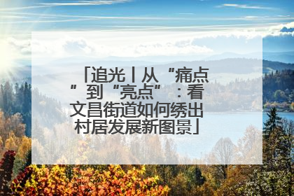 追光丨从“痛点”到“亮点”：看文昌街道如何绣出村居发展新图景