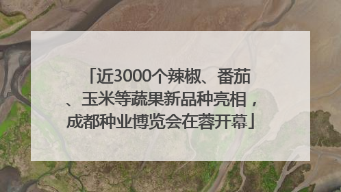 近3000个辣椒、番茄、玉米等蔬果新品种亮相，成都种业博览会在蓉开幕