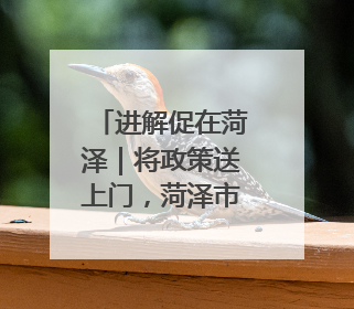 进解促在菏泽｜将政策送上门，菏泽市自贸协定政策专题宣讲会召开