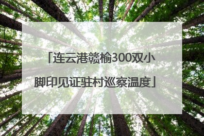 连云港赣榆300双小脚印见证驻村巡察温度