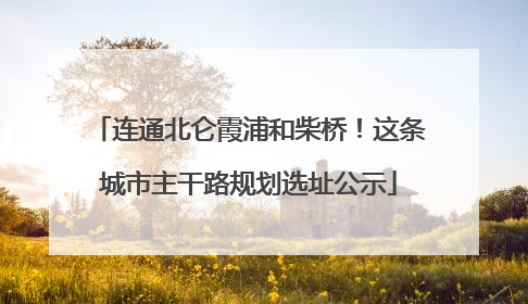 连通北仑霞浦和柴桥！这条城市主干路规划选址公示