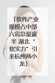 软件产业规模占中部六省总量逾半 湖北“软实力”引来杭州两小龙