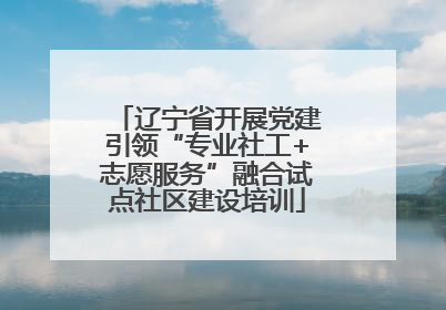 辽宁省开展党建引领“专业社工+志愿服务”融合试点社区建设培训