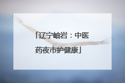 辽宁岫岩：中医药夜市护健康
