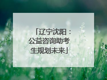 辽宁沈阳：公益咨询助考生规划未来