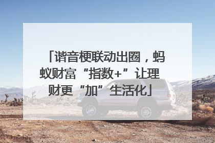 谐音梗联动出圈，蚂蚁财富“指数+”让理财更“加”生活化