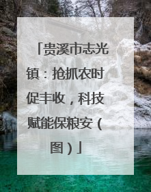贵溪市志光镇：抢抓农时促丰收，科技赋能保粮安（图）