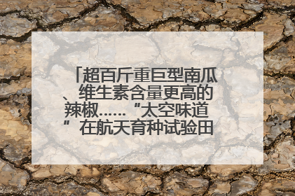 超百斤重巨型南瓜、维生素含量更高的辣椒……“太空味道”在航天育种试验田里拔节生长