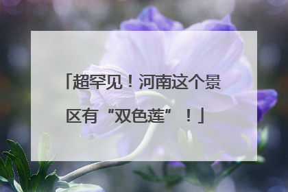 超罕见！河南这个景区有“双色莲”！
