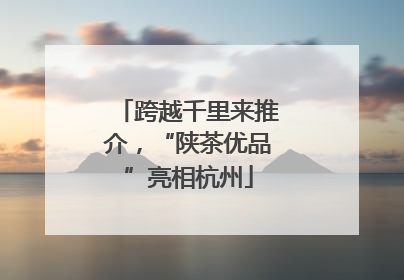 跨越千里来推介，“陕茶优品”亮相杭州