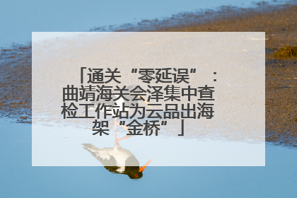 通关“零延误”：曲靖海关会泽集中查检工作站为云品出海架“金桥”