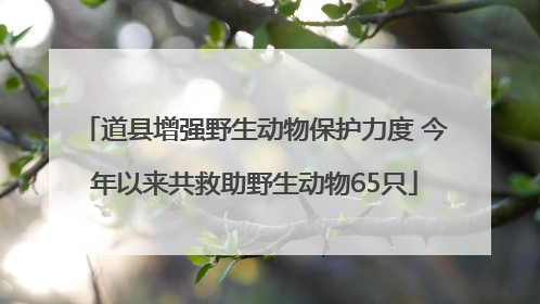 道县增强野生动物保护力度 今年以来共救助野生动物65只