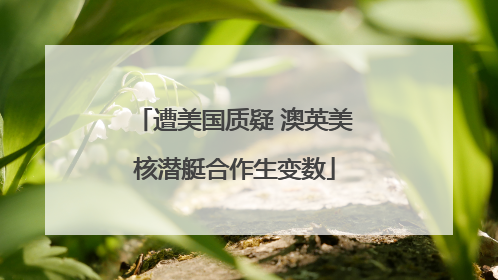 遭美国质疑 澳英美核潜艇合作生变数